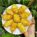Ngan Nguyen