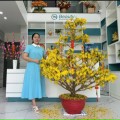chị Tu My