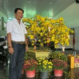 anh Thế Dai