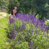 Thuy Trang