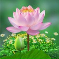 anh Nguyễn Thế Liền