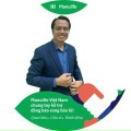 Trường Manulife