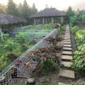 Hà Duy Trung