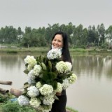 Nguyễn Anh Thơ
