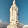 Trần Hoàng