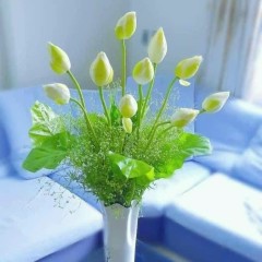 Dương Hoàng Ngân