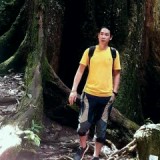 Thuong Vu