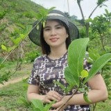 Thân Hải