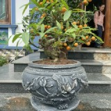 Hiến Nguyễn